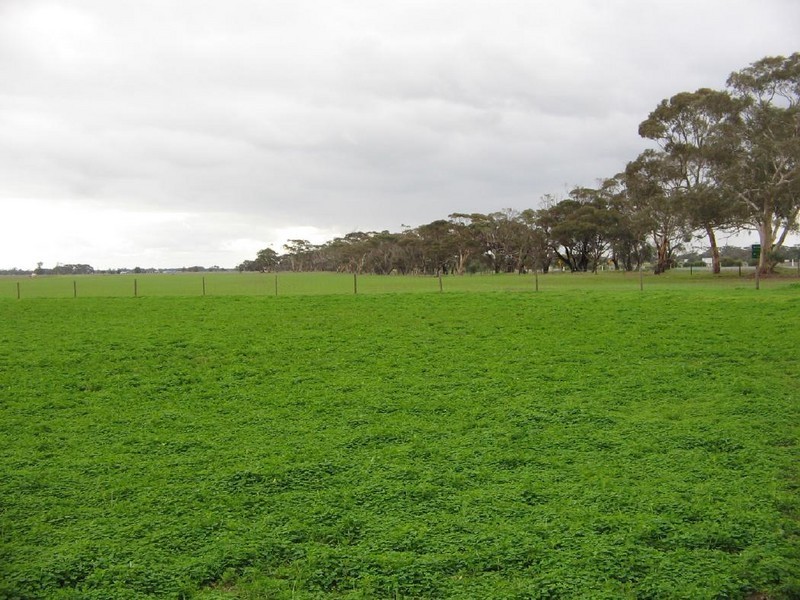 Lots 41 and 42 Cnr Meatworks Rd and Dukes Hwy, Bordertown SA 5268