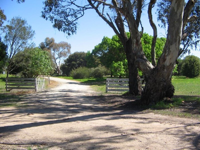 34 Off chalk Rd, Mundulla SA 5270