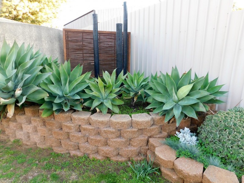 27 Creecoona Tce, Bordertown SA 5268