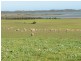 Section 39 Princes Highway, Meningie SA 5264