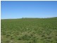 Section 39 Princes Highway, Meningie SA 5264