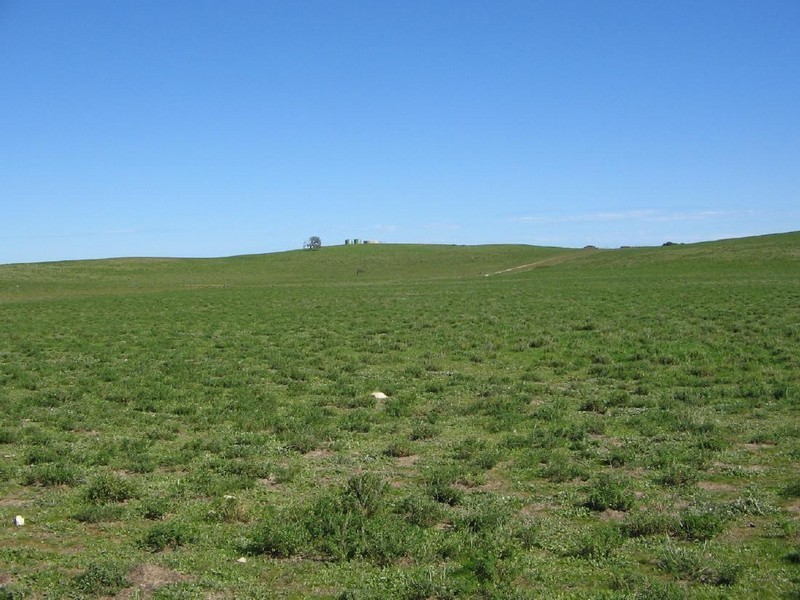 Section 39 Princes Highway, Meningie SA 5264