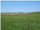 Section 39 Princes Highway, Meningie SA 5264