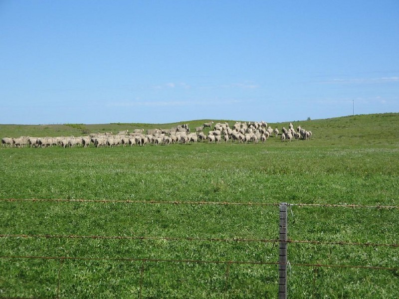Section 39 Princes Highway, Meningie SA 5264