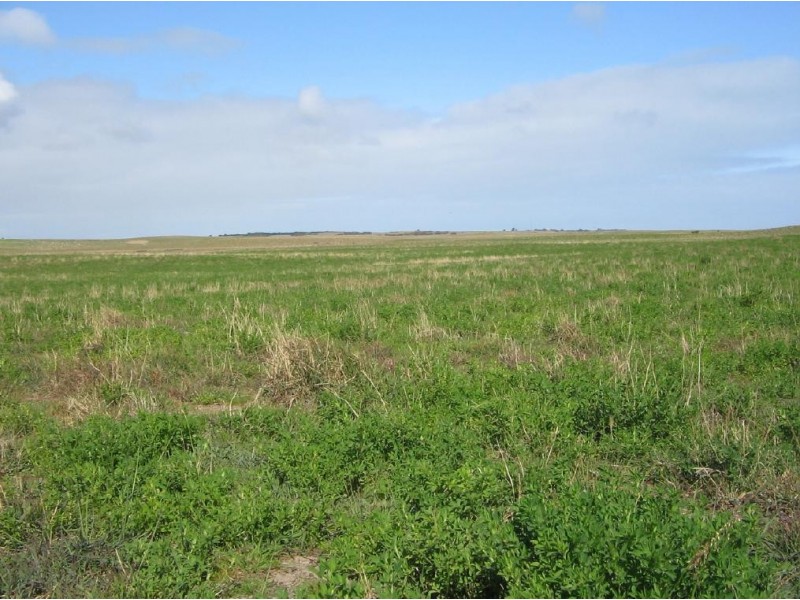 Section 39 Princes Highway, Meningie SA 5264