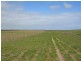Section 39 Princes Highway, Meningie SA 5264