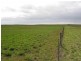 Section 39 Princes Highway, Meningie SA 5264