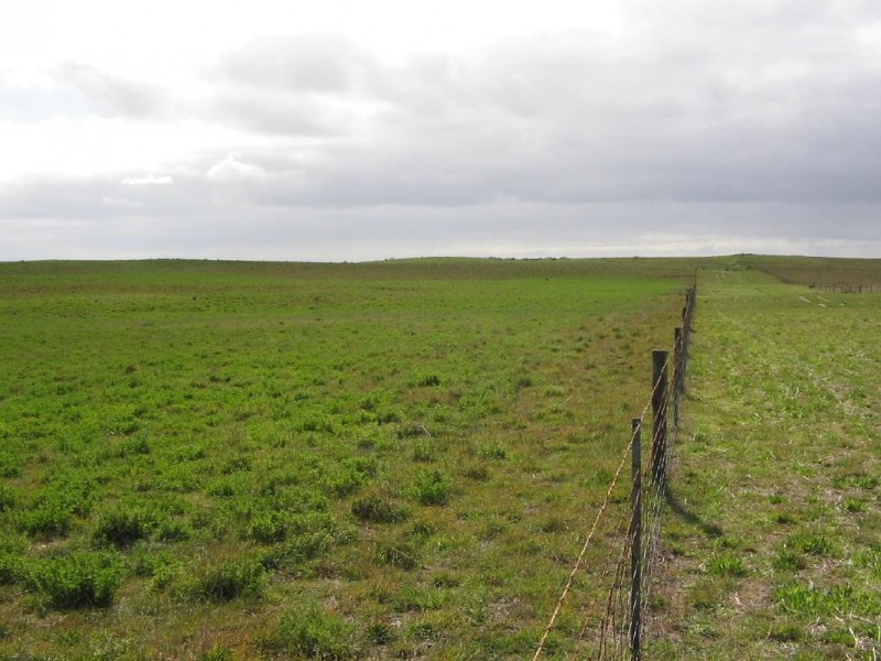 Section 39 Princes Highway, Meningie SA 5264