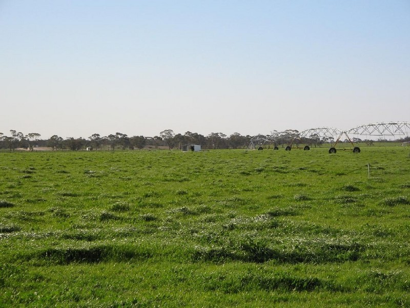 Sec 378 + Naracoorte Road, Bordertown SA 5268