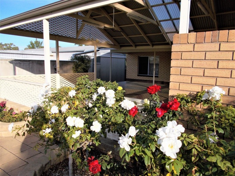 55 Milne Street, Bordertown SA 5268