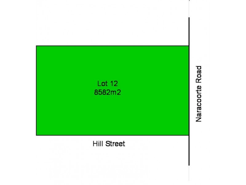 Lot 12 Naracoorte Rd, Bordertown SA 5268