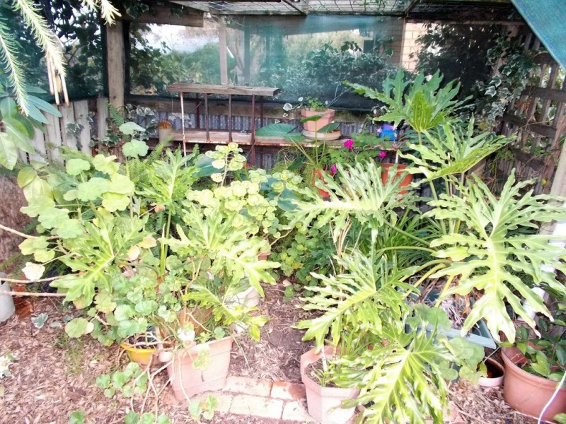 16 Patterson Street, Bordertown SA 5268