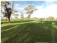 Lot 100 Jenkin Rd, Bordertown SA 5268