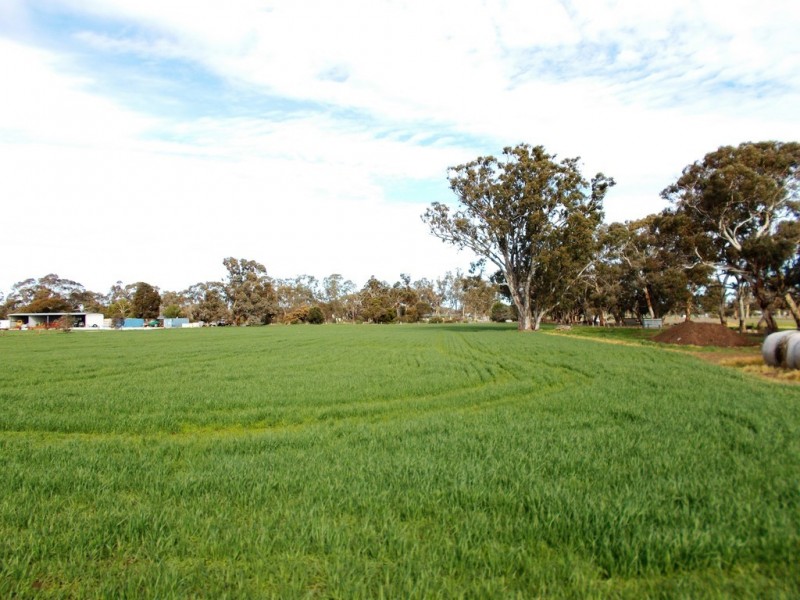 210 Lambert Road, Mundulla SA 5270