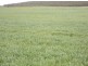 856 Parrakie North Road, Lameroo SA 5302