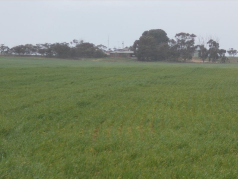 856 Parrakie North Road, Lameroo SA 5302