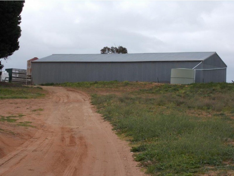 856 Parrakie North Road, Lameroo SA 5302