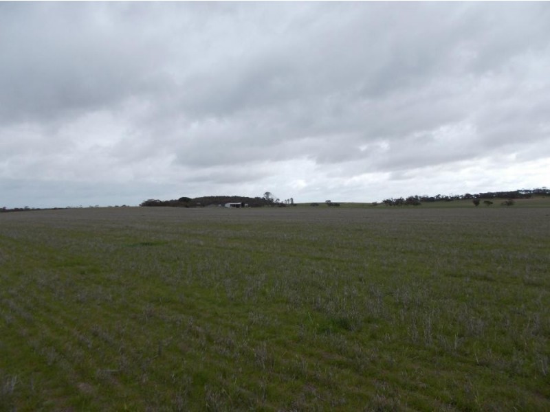 856 Parrakie North Road, Lameroo SA 5302