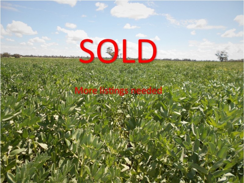 Lot 581 Nitschkes Road, Bordertown SA 5268