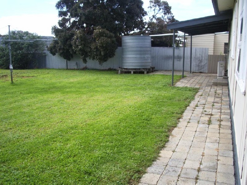 41 Cotton Street, Bordertown SA 5268