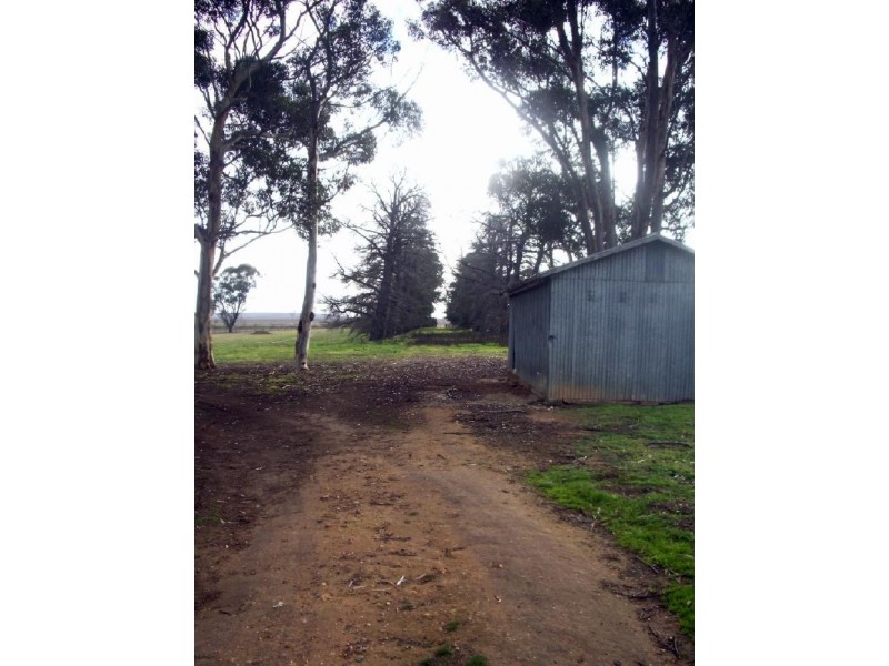 Lot 12 –  Gums Buckingham Road, Mundulla SA 5270