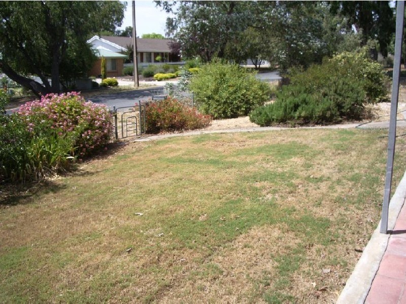 39 Wellington Street, Bordertown SA 5268