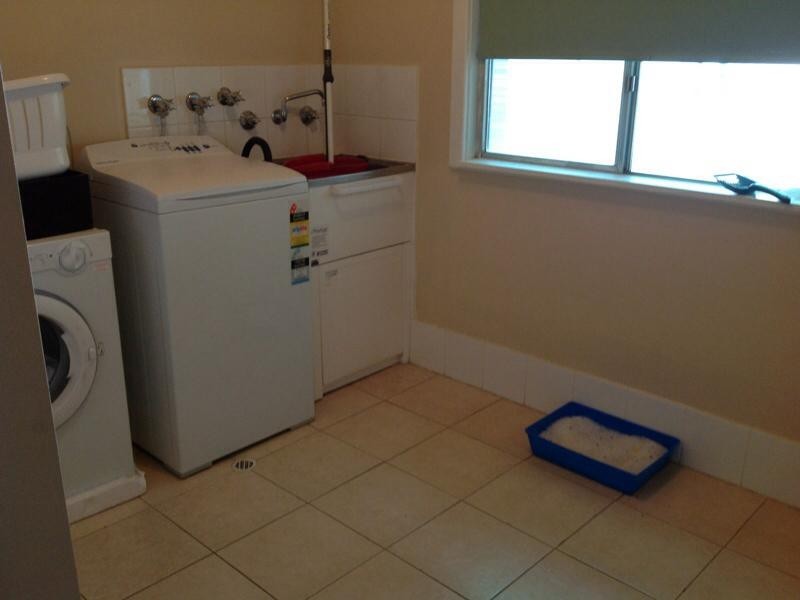 40 Pigeon Flat Road, Bordertown SA 5268