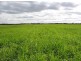 Lot 106 Hammatt Road, Lameroo SA 5302