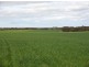 Lot 106 Hammatt Road, Lameroo SA 5302