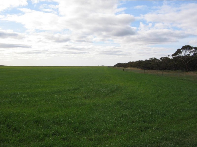 Lot 106 Hammatt Road, Lameroo SA 5302