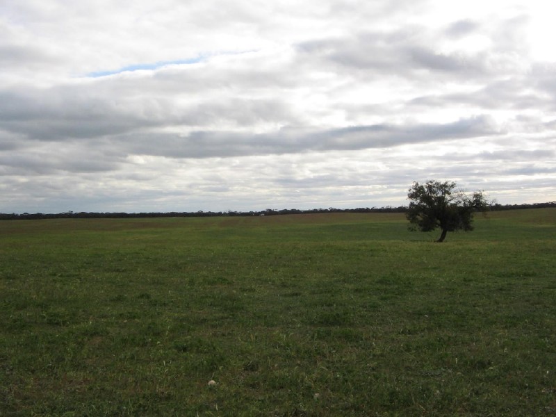 Lot 106 Hammatt Road, Lameroo SA 5302