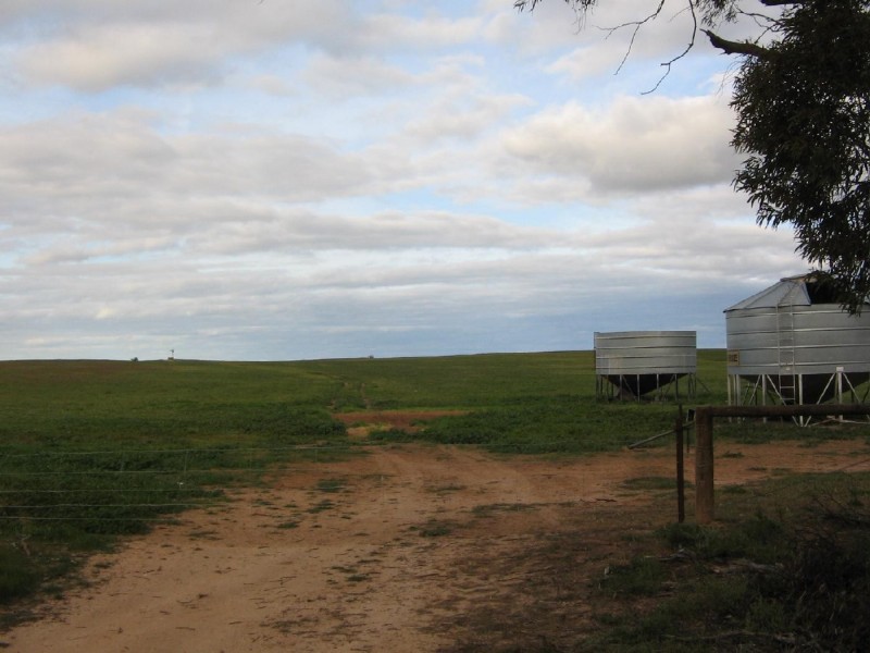 Lot 106 Hammatt Road, Lameroo SA 5302