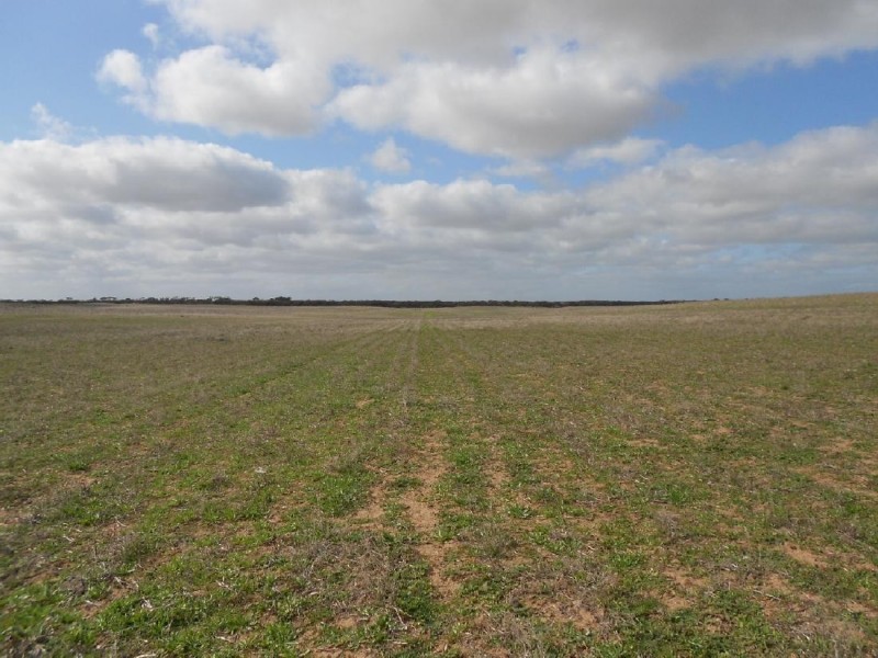 Lot 106 Hammatt Road, Lameroo SA 5302