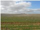 Lot 106 Hammatt Road, Lameroo SA 5302