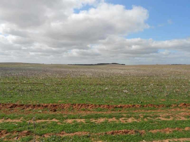Lot 106 Hammatt Road, Lameroo SA 5302