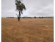 Proposed Lot Finlayson Road, Bordertown SA 5268