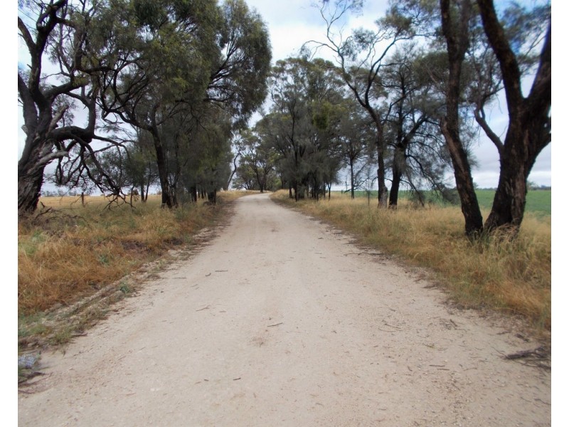 Proposed Lot Finlayson Road, Bordertown SA 5268