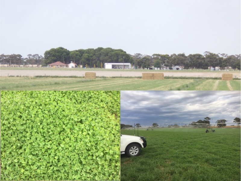 16875 Dukes Highway, Bordertown SA 5268