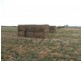 16875 Dukes Highway, Bordertown SA 5268