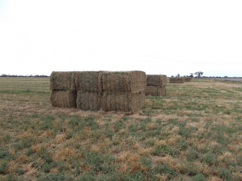 16875 Dukes Highway, Bordertown SA 5268