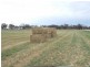 16875 Dukes Highway, Bordertown SA 5268