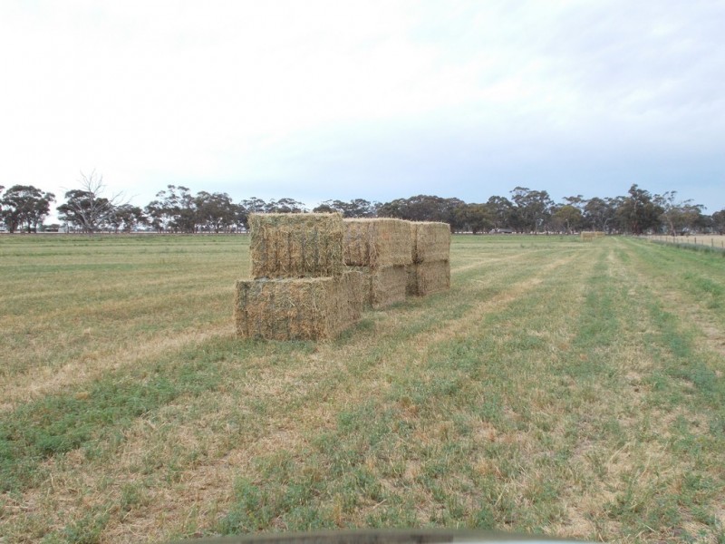 16875 Dukes Highway, Bordertown SA 5268