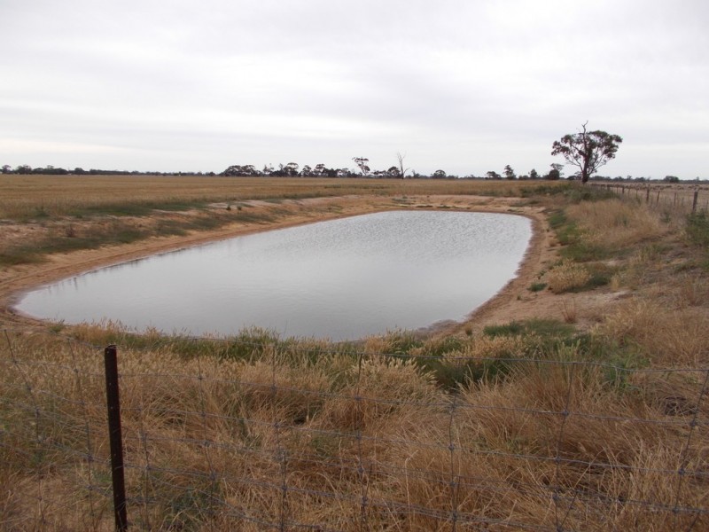 16875 Dukes Highway, Bordertown SA 5268