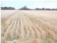 16875 Dukes Highway, Bordertown SA 5268