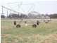 16875 Dukes Highway, Bordertown SA 5268