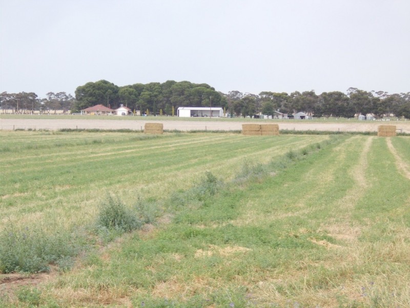 16875 Dukes Highway, Bordertown SA 5268