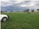 16875 Dukes Highway, Bordertown SA 5268