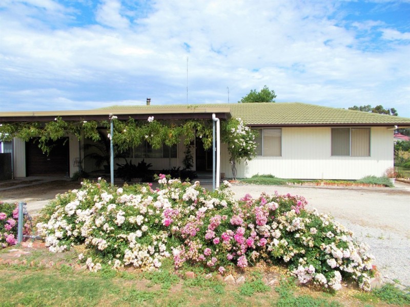 5-7 Green, Bordertown SA 5268
