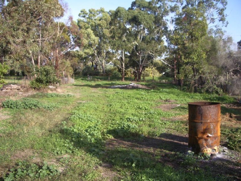 39 Green Street, Bordertown SA 5268