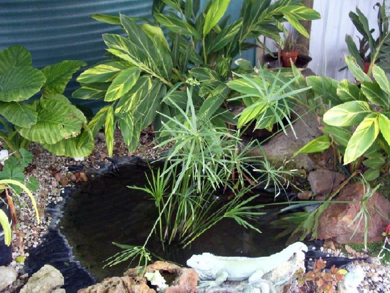 18 Third Street, Wolseley SA 5269